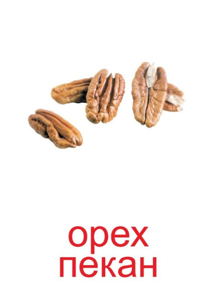 Название орехов с картинками