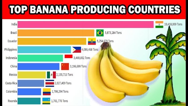 Страны производители бананов