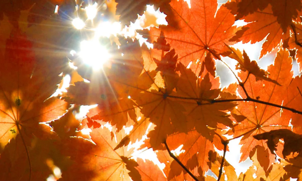 День осеннего равноденствия 2022