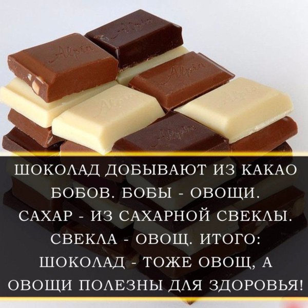 Высказывания про шоколад