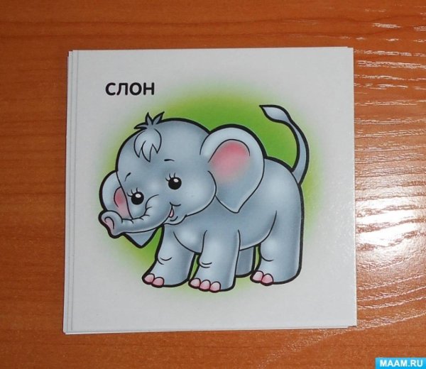 20 Июня Всемирный день защиты слонов