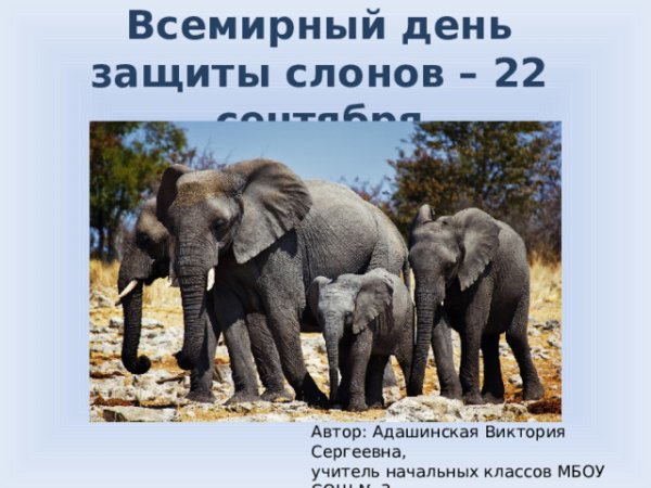 День защиты слонов 22 сентября