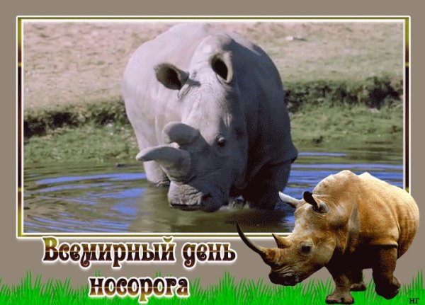 Всемирный день защиты Носорогов 22 сентября