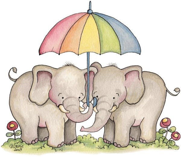 Слоны под зонтом