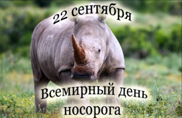 • Всемирный день носорога (World Rhino Day)