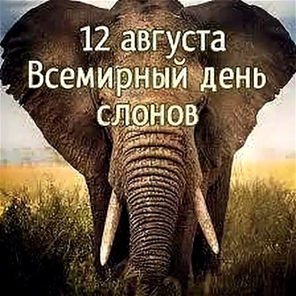 Всемирный день слонов