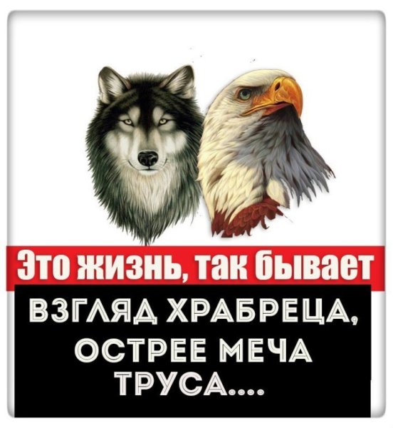 Цитата взгляд храбреца острее меча труса