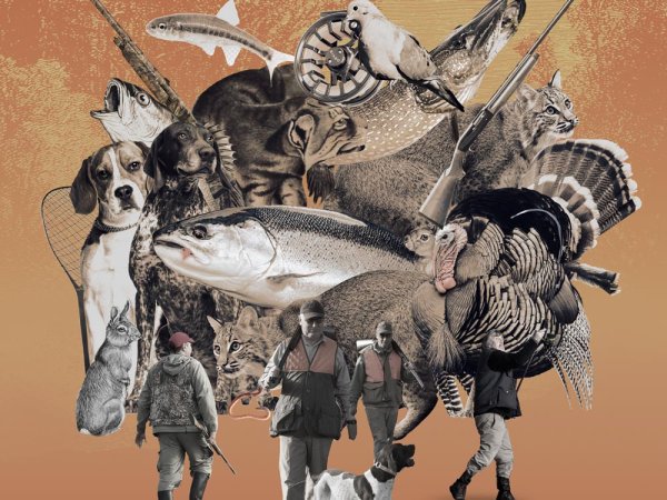 Коллаж охота