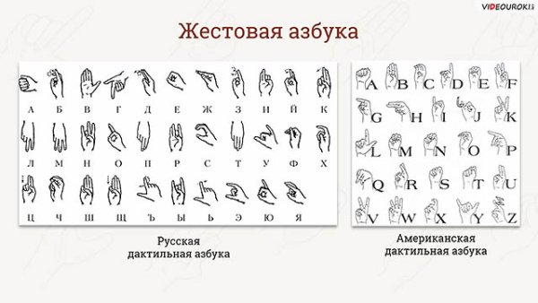 300 Жестовых языков.