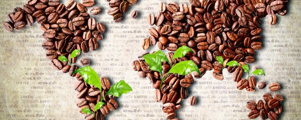 Кофейных зерен и листьями дерева