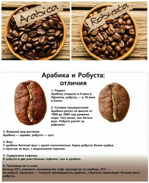 Кофе в зернах Арабика и Робуста