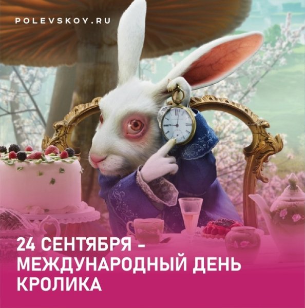 Международный день кролика 2022