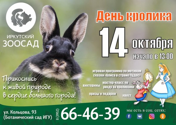 Международный день кролика 26 сентября