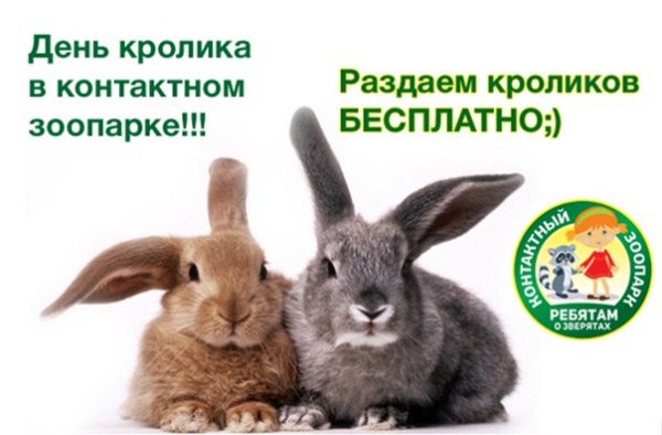 Международный день кроликов 27 сентября