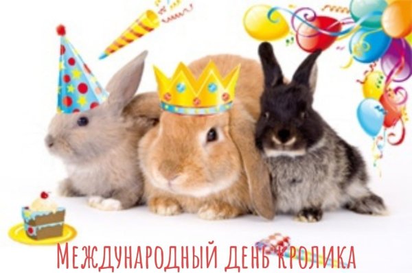 Международный день кролика (International Rabbit Day)