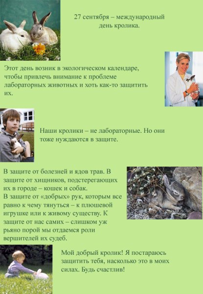 Международный день кролика 26 сентября