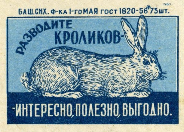 Кролиководство в СССР