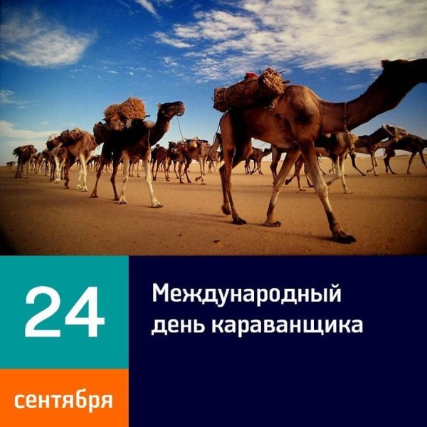 Международный день Кара