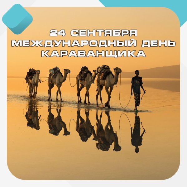 Караванщик Али