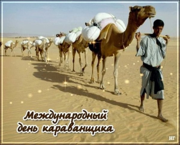 Международный день караванщика 24 сентября