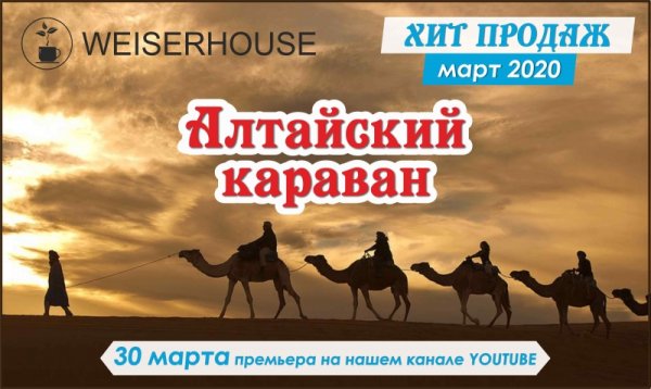 День караванщика