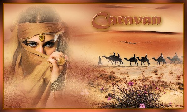 Анимация Караван в пустыне
