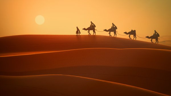 Дюны Барханы Караван