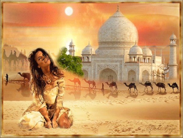 Восточные картины пустыня