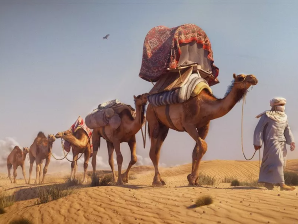 Караван бедуинов в пустыне