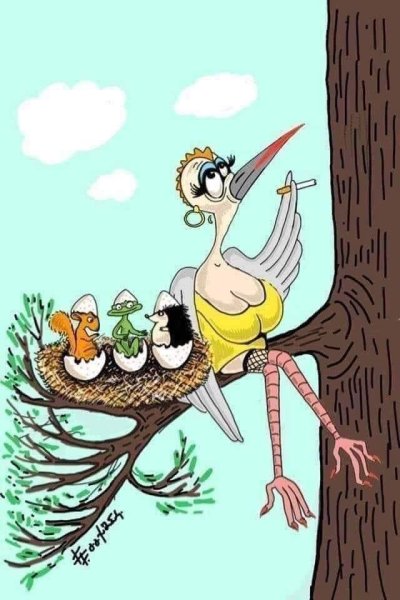 Юмор в картинках