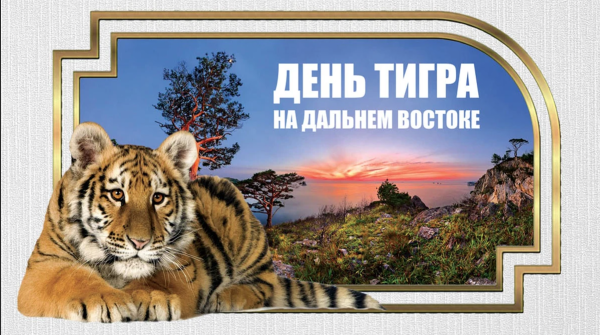 Амурский Тигренок