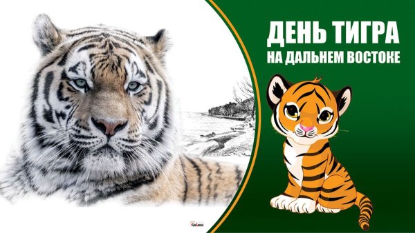 Амурский Тигренок