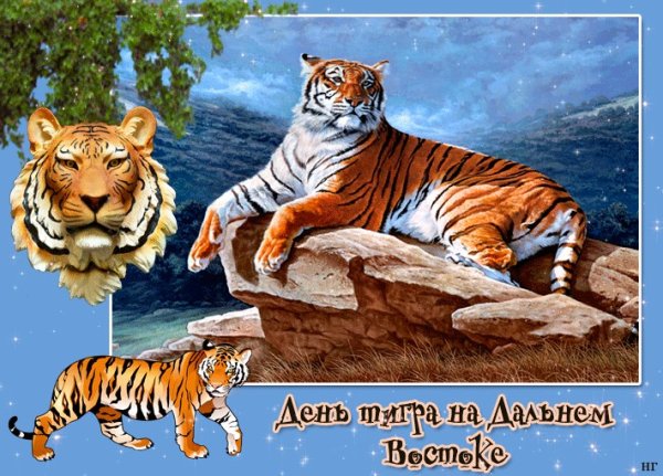 Открытки с днём тигра бесплатно красивые