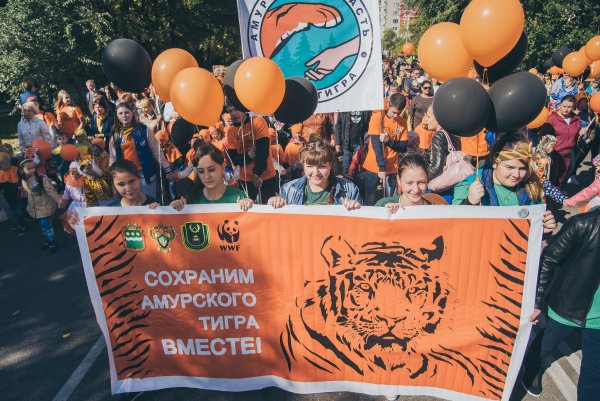 День защиты Амурского тигра