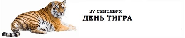 День Амурского тигра