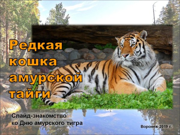 День Дальневосточного тигра