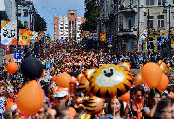 День тигра на Дальнем востоке