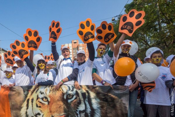 Тигриный саммит 2010