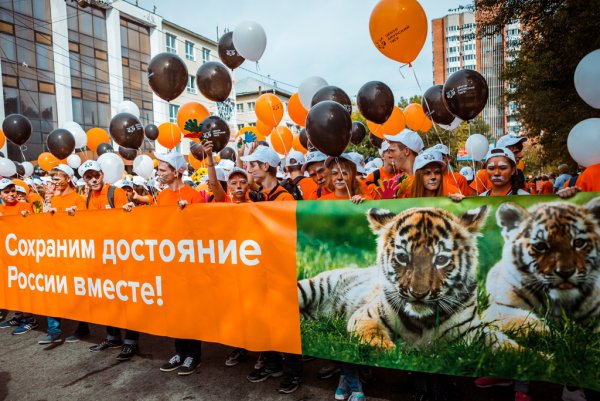 День защиты Амурского тигра