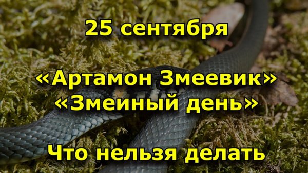 Народный календарь 25 сентября Артамон змеевик