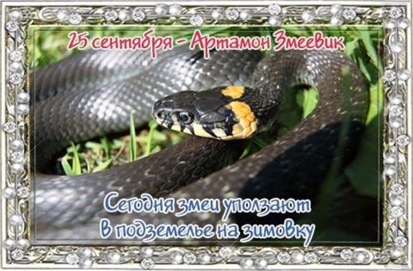 Народный праздник Артамон змеевик