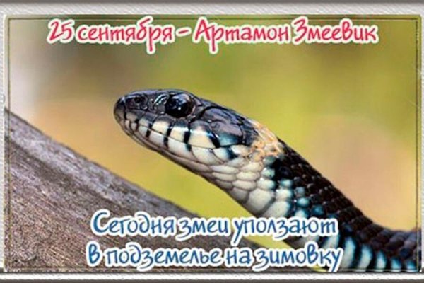 Артамон змеевик 25 сентября