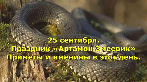 Народный календарь 25 сентября Артамон змеевик