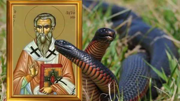 Артамон змеевик икона