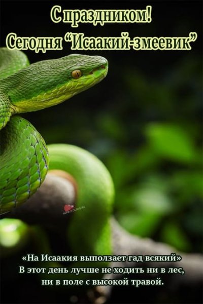 Змеиный праздник 12 июня