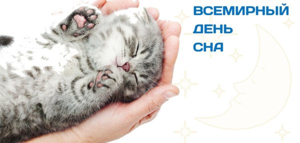 Всемирный день сна