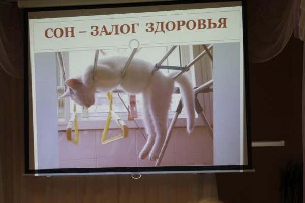 18 Марта день сна