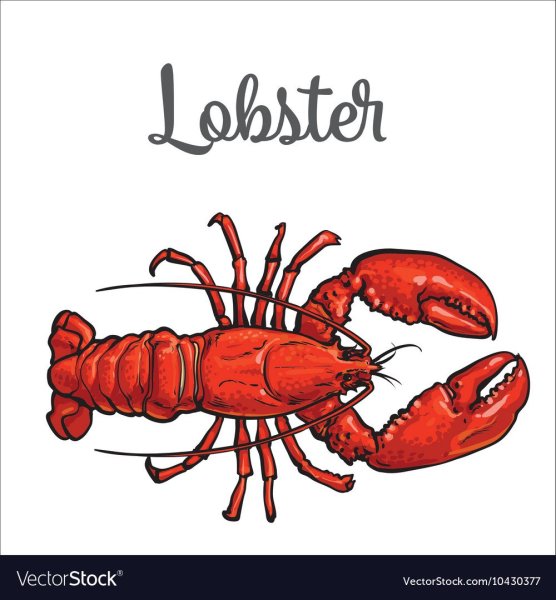 Игра лобстер на белом фоне