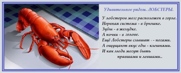 Анекдот про лобстера