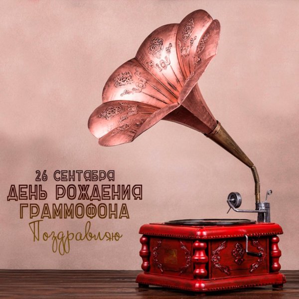 Граммофон цветёт в декабре-январе